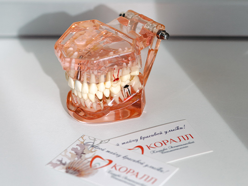 зубочелюстной аппарат